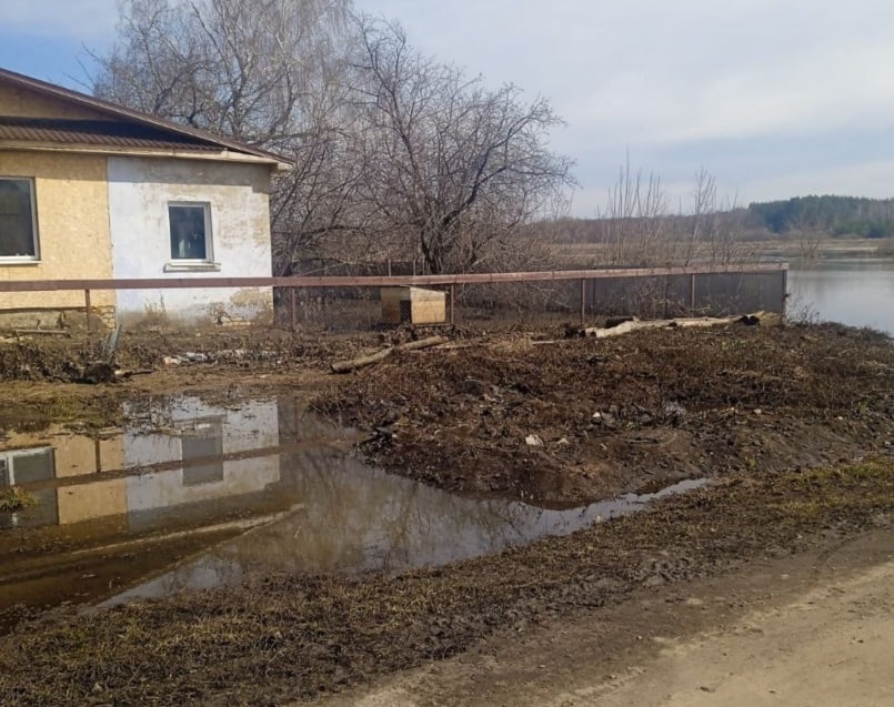 Правительство оценило ситуацию с паводком в Нижегородской области - фото 1