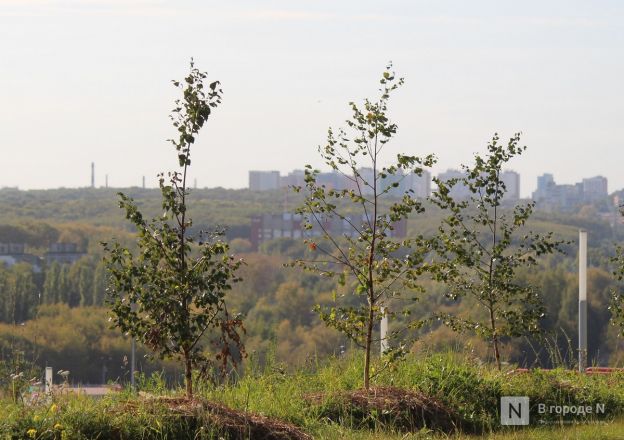 Опубликованы фото благоустроенных пространств Нижегородского района - фото 10