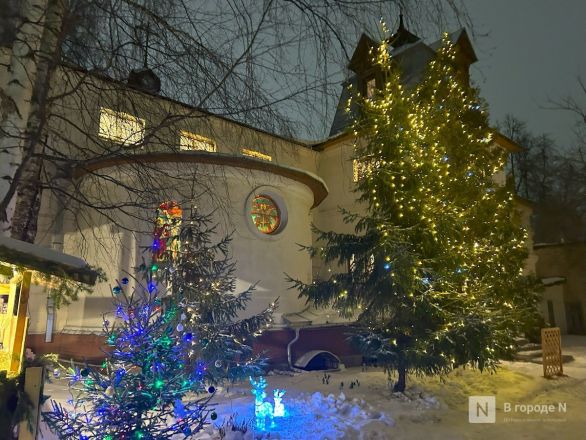 Фоторепортаж: как прошло католическое Рождество в Нижнем Новгороде - фото 41