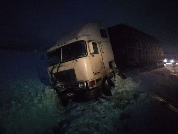 Двое взрослых и ребенок погибли в ДТП с грузовиком в Ардатовском районе - фото 2