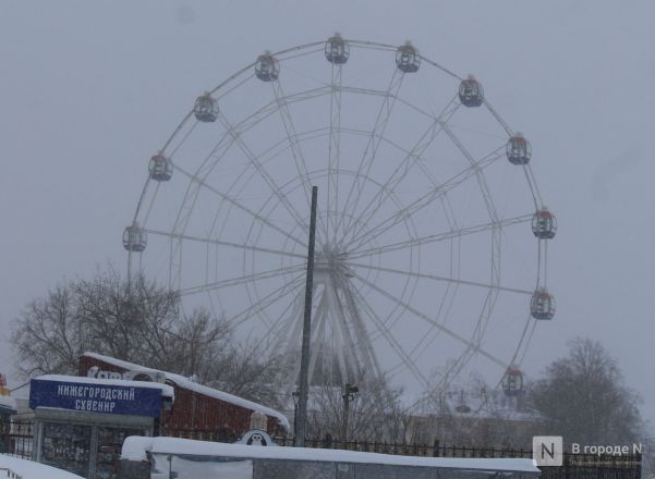 Снежный циклон &laquo;Валли&raquo; обрушился на Нижний Новгород: фоторепортаж - фото 50