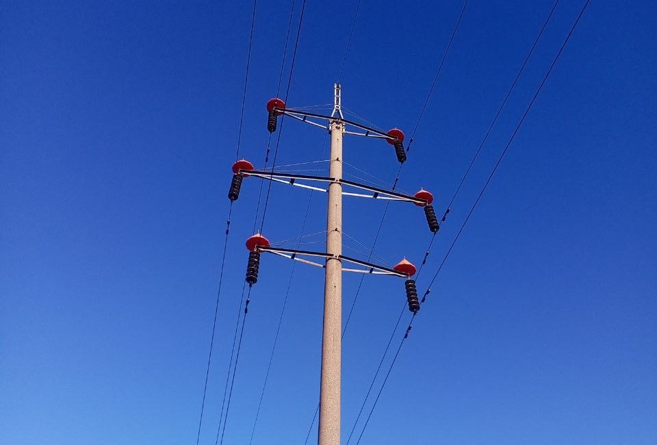 Нижегородские энергетики &laquo;Россети Центр и Приволжье&raquo; защищают птиц от поражения током - фото 1