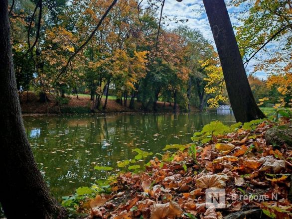 Та самая пушкинская осень: уютный фоторепортаж из Большого Болдина - фото 17