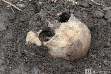 Нижегородцы рискуют подхватить сибирскую язву из-за скелетов у реки