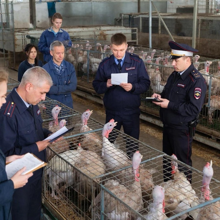 Нижегородский экс-депутат оштрафован на 1 000 000 рублей из-за мигрантов - фото 1