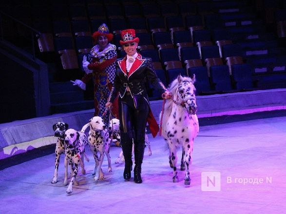 Возвращение &laquo;Бурлеска&raquo;: Нижегородский цирк открывается уникальным шоу Гии Эрадзе - фото 35