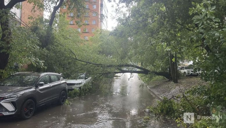 Опубликованы фото последствий мощного урагана в Нижнем Новгороде - фото 7