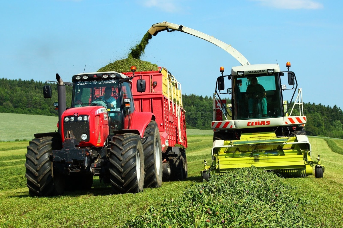 550 га травы скосили нижегородские аграрии на заготовку кормов - фото 1