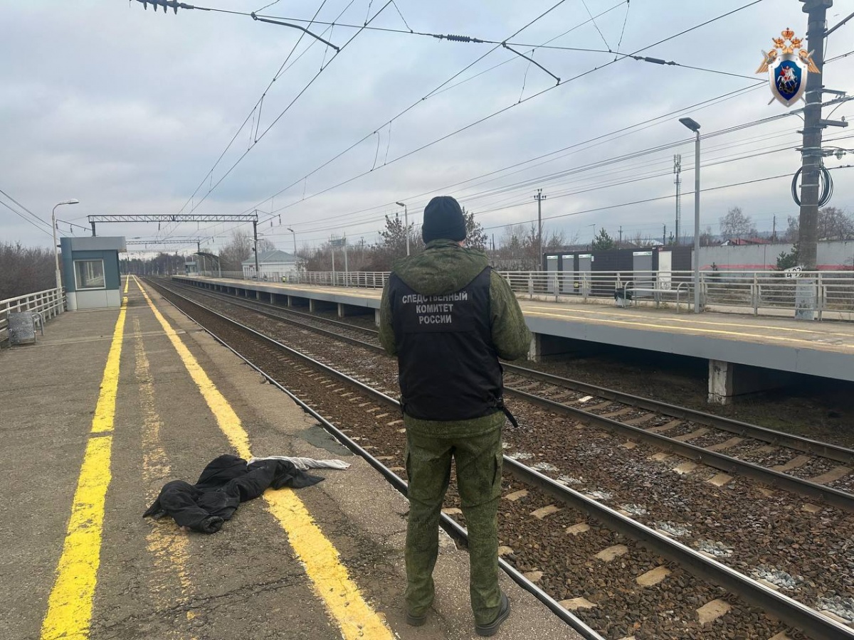 Пассажирский поезд переехал женщину в Нижегородской области - фото 1