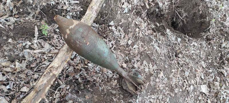Минометный снаряд нашли на обочине дороги в Кстовском районе - фото 1