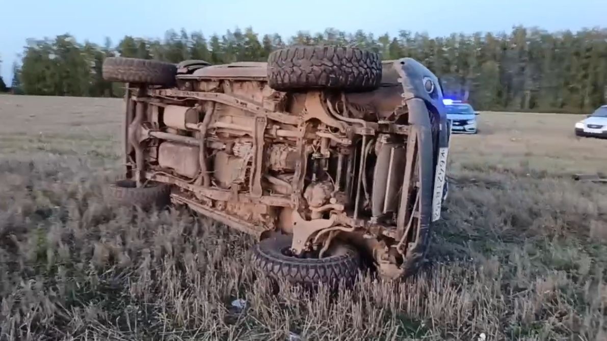 Водитель погиб в перевернувшейся в поле легковушке в Нижегородской области - фото 1