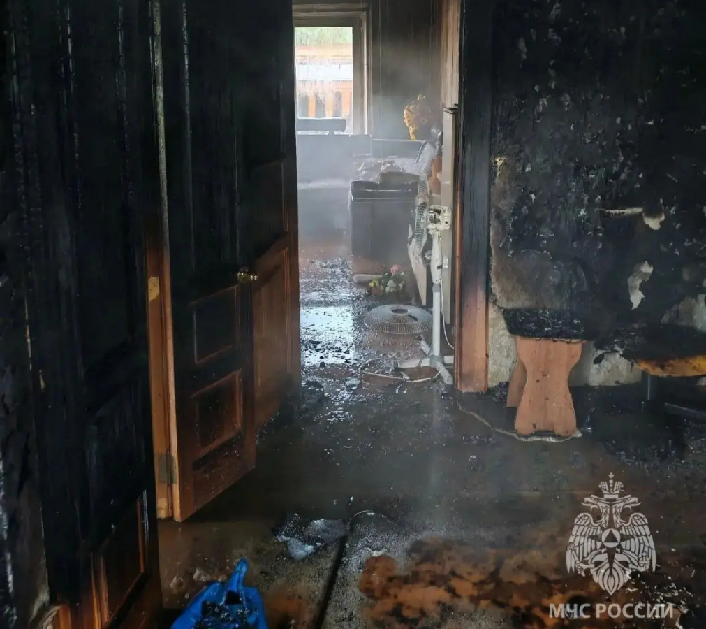 Дом сгорел в Нижегородской области из-за грозы - фото 1