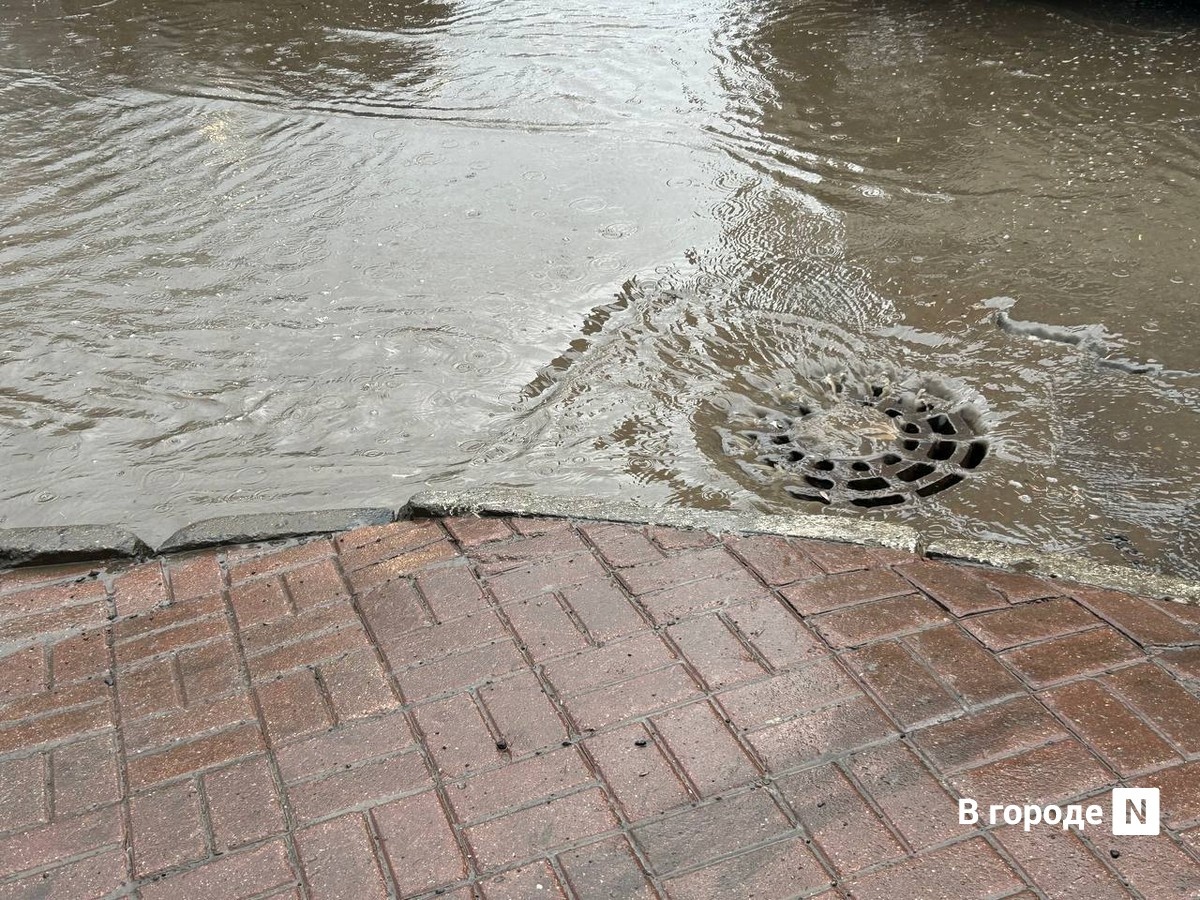 Арзамасцы находят в лужах потерянные после ливня автомобильные номера - фото 1