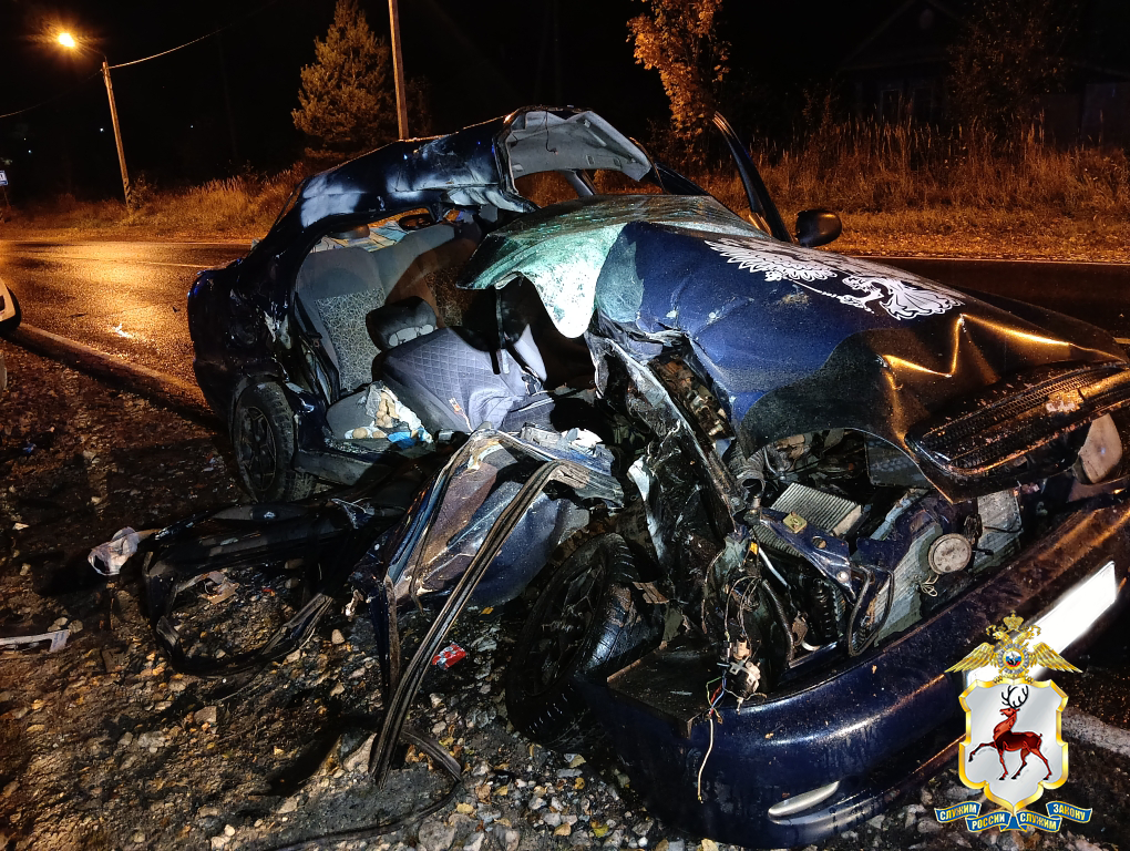 Автомобилиста отдали под суд после смертельного ДТП в Вачском округе - фото 1