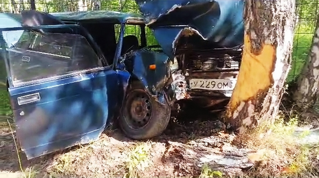 Пассажирка &laquo;Лады&raquo; получила травмы после наезда пьяной девушки-водителя на дерево в Дальнеконстантиновском районе - фото 1