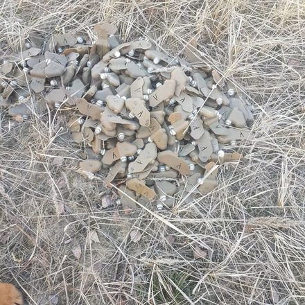 Более 200 противопехотных мин обнаружено в лесу у Торфосклада - фото 4