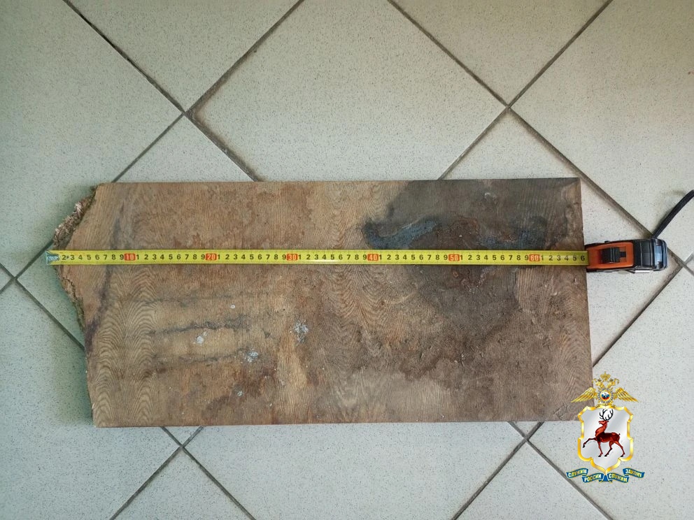 Нижегородец чуть до смерти не забил женщину деревянной доской - фото 1