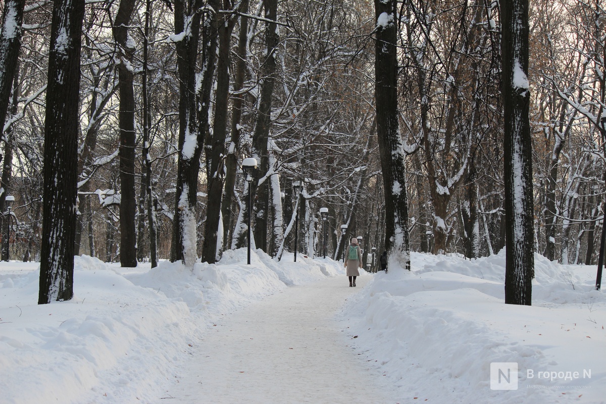 Сроки благоустройства нижегородского парка Кулибина в очередной раз сорваны - фото 2