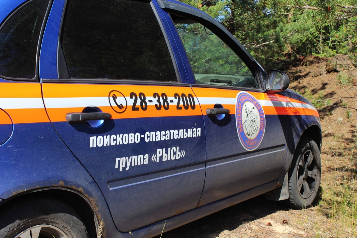 Отец и сын, которых разыскивали в Нижегородской области, вышли на связь - фото 1