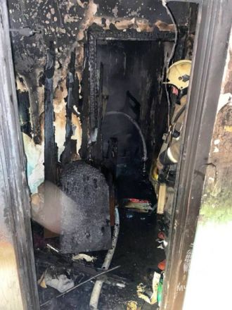 40 человек спасли пожарные из горящей многоэтажки в Нижнем Новгороде - фото 2