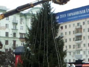 Новогодняя елка появилась на площади Горького