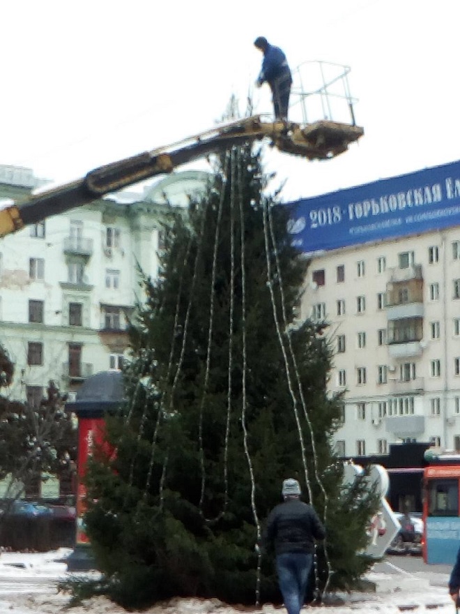 Новогодняя елка появилась на площади Горького - фото 1