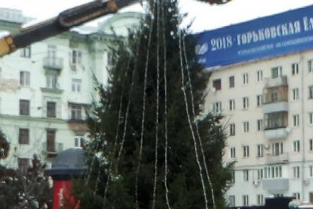 Новогодняя елка появилась на площади Горького