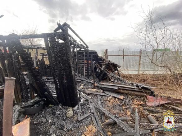 Серийного поджигателя задержали в Нижегородской области - фото 1